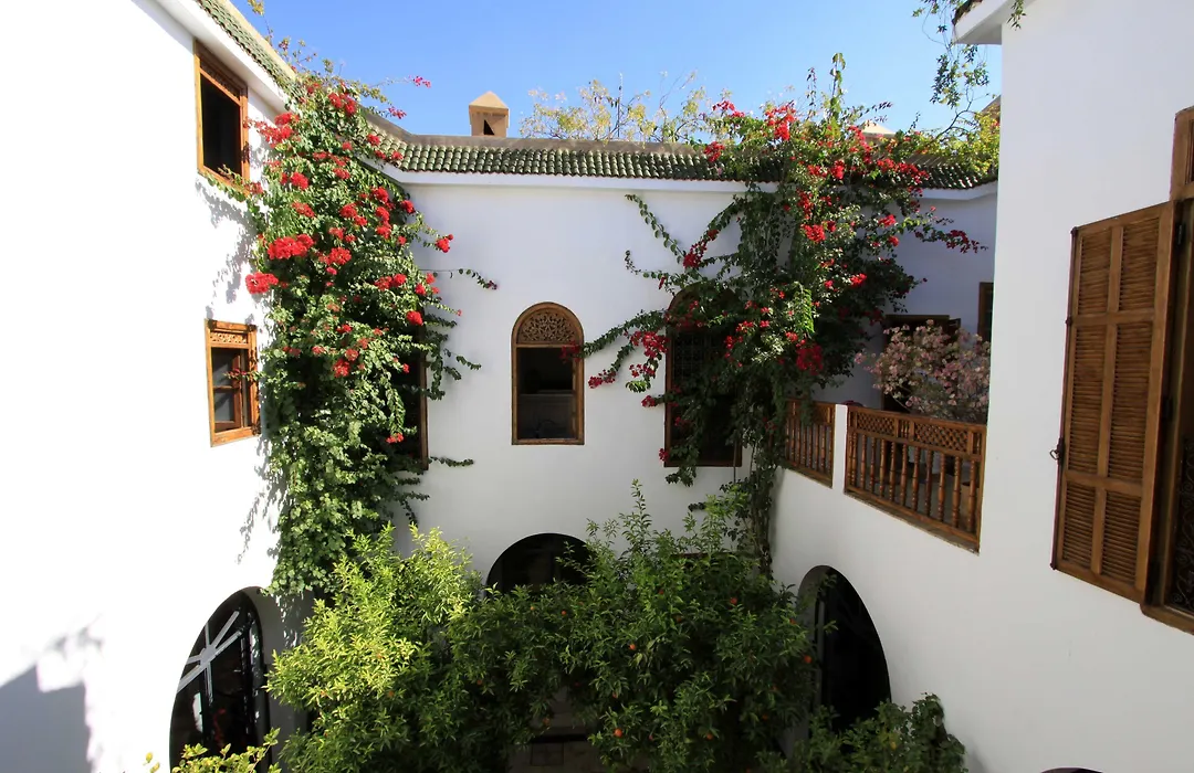 Riad Alma-1